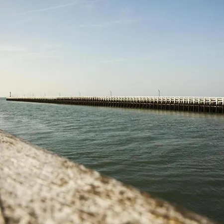 Daire Apartment Nieuwpoort Near Beach & Marina *